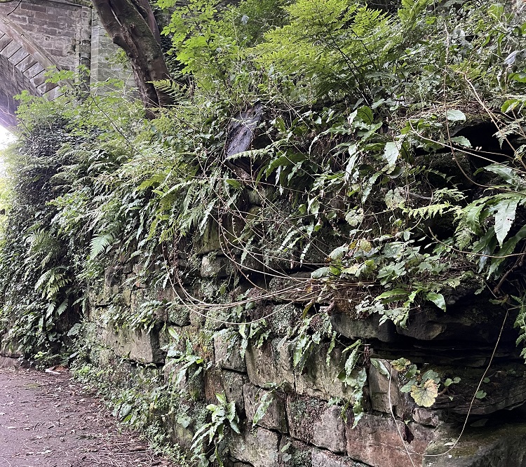River Kelvin walkway